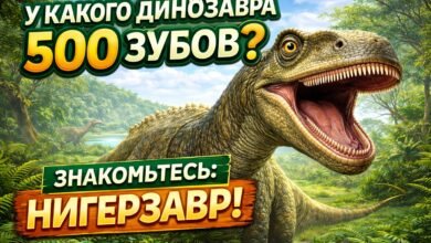 Нигерзавр — реконструкция динозавра с 500 зубами